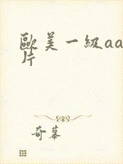 欧美一级aa淫片