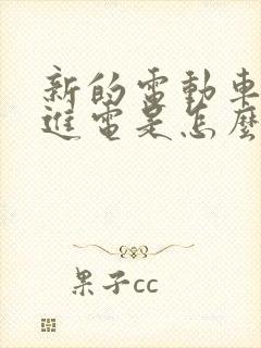 新的电动车充不进电是怎么回事