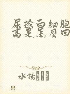 尿检白细胞镜检高是怎么回事