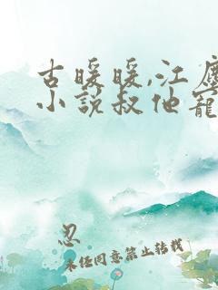 古暖暖,江尘御小说叔他宠妻上瘾