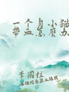 一个月小猫拉稀带血怎么办