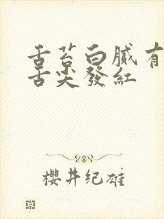 舌苔白腻有齿痕舌尖发红