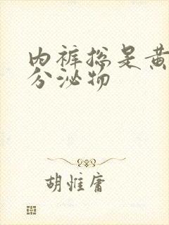 内裤总是黄色的分泌物