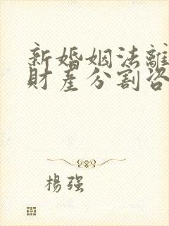 新婚姻法离婚争财产分割咨询律师