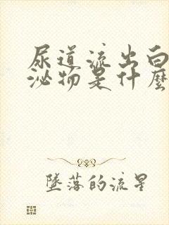 尿道流出白色分泌物是什么情况