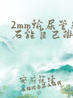 2mm输尿管结石能自己排出去吗