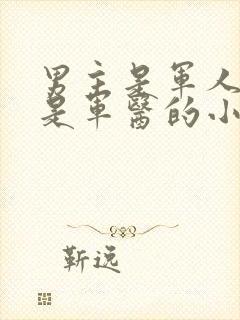 男主是军人女主是军医的小说