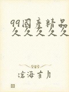 99国产精品久久久久久久成人热