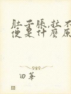 肚子胀,拉不出便是什么原因