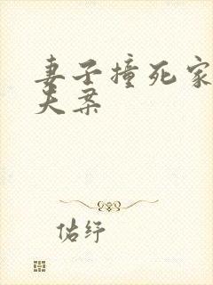 妻子撞死家暴丈夫案