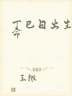 丁巳日出生的男命