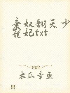 弃奴翻天少帝的宠妃txt