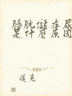 膀胱储存尿量少是什么原因