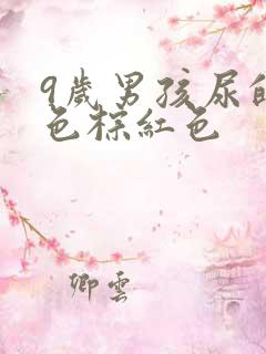 9岁男孩尿的颜色棕红色