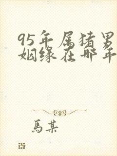 95年属猪男的姻缘在哪年