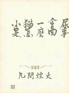 小猫一会尿一点是怎么回事