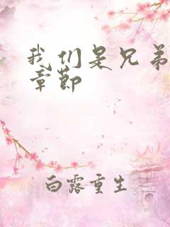 我们是兄弟最新章节