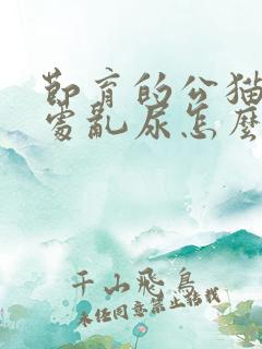 节育的公猫还到处乱尿怎么办