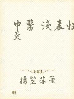 中医 浅表性胃炎