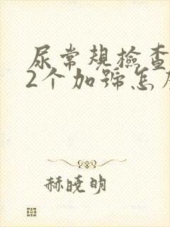 尿常规检查隐血2个加号怎么回事