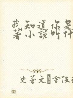 我知道你是谁原著小说叫什么名字