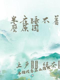 半夜睡不着觉什么原因