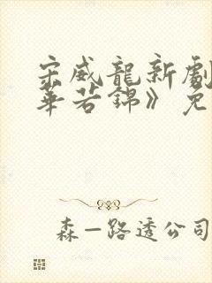 宋威龙新剧《韶华若锦》免费观看全集