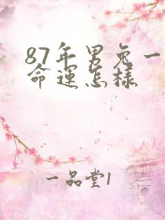 87年男兔一生命运怎样
