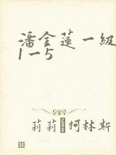 潘金莲一级淫片1一5