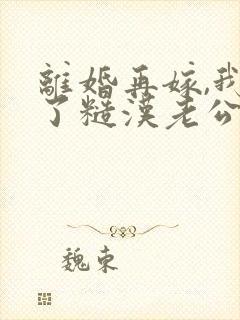 离婚再嫁,我成了糙汉老公心尖宠