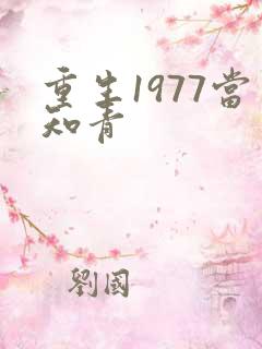 重生1977当知青