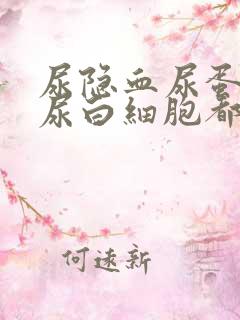 尿隐血尿蛋白质尿白细胞都高