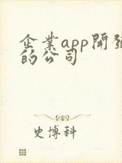 企业app开发的公司