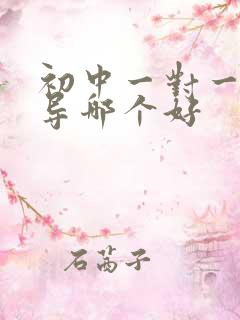 初中一对一的辅导哪个好