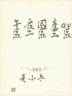 午夜国产av一区二区三区