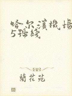 哈尔滨机场巴士5号线