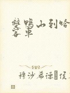 双鸭山到哈尔滨客车