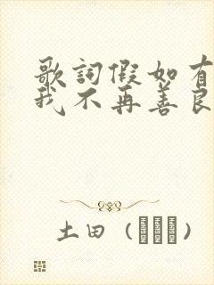 歌词假如有一天我不再善良是什么歌