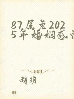87属兔2025年婚姻感情如何