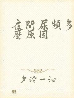 夜间尿频多是什么原因