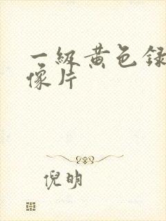 一级黄色录像录像片