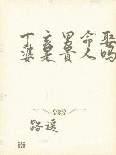 丁亥男命娶的老婆是贵人吗