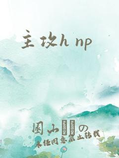 主攻h np