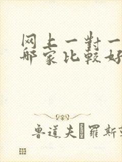 网上一对一英语哪家比较好