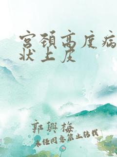 宫颈高度病变鳞状上皮