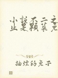 小说不二之臣不止是颗菜免费全文阅读