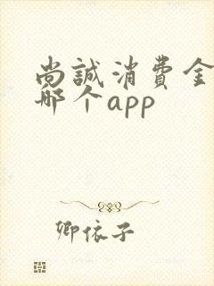 尚诚消费金融是哪个app