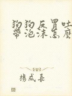 狗狗反胃吐黄水带泡沫怎么办