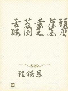 舌苔黄厚头晕目眩困乏怎么回事