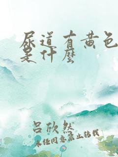 尿道有黄色液体是什么